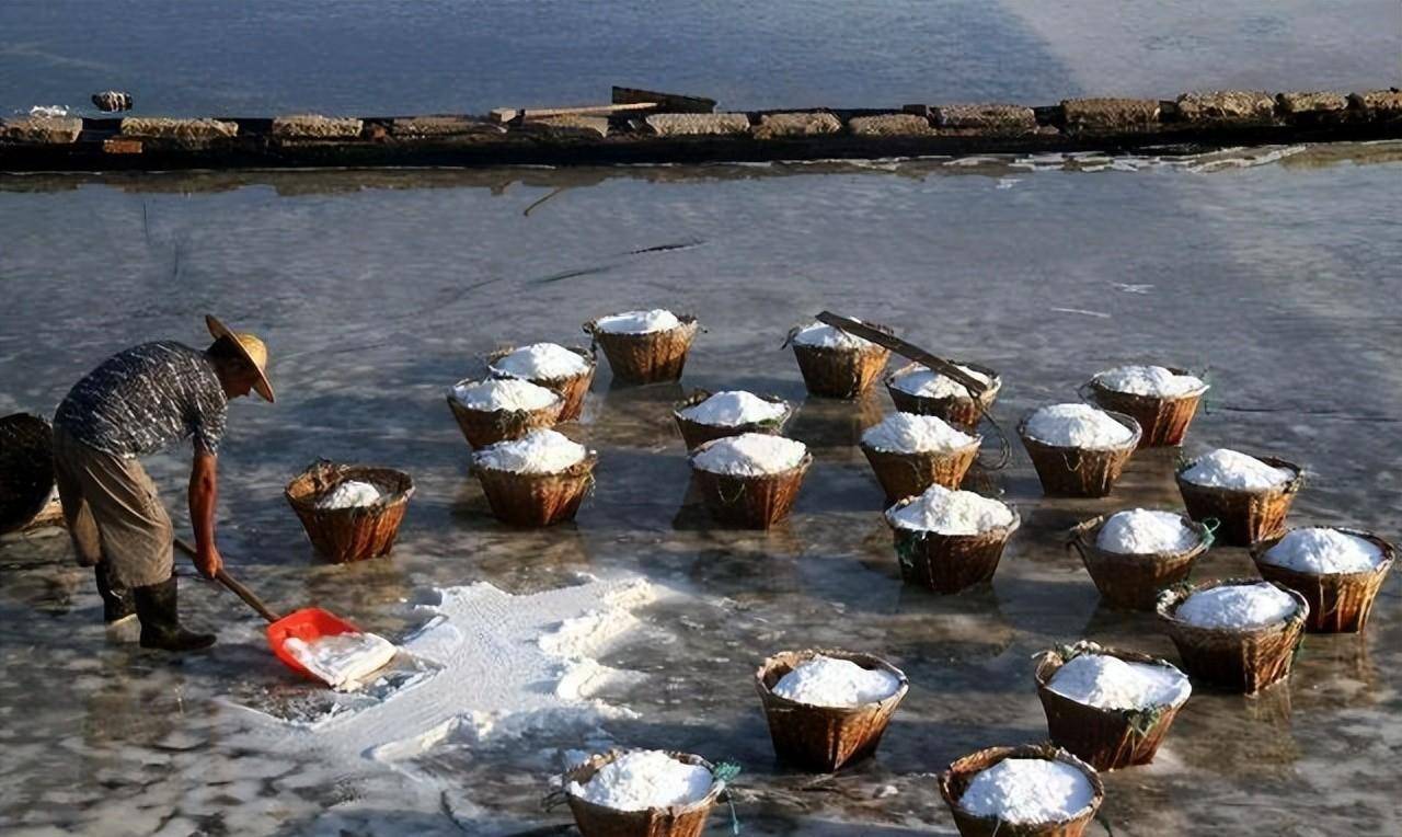 从盐业的发展史上,深度剖析近代山东私盐的泛滥及其成因_地区_走私