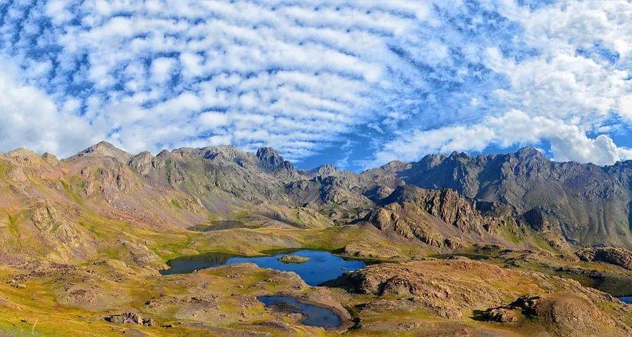 战高端谋求年轻化的家电企业又变心了-家电圈官网