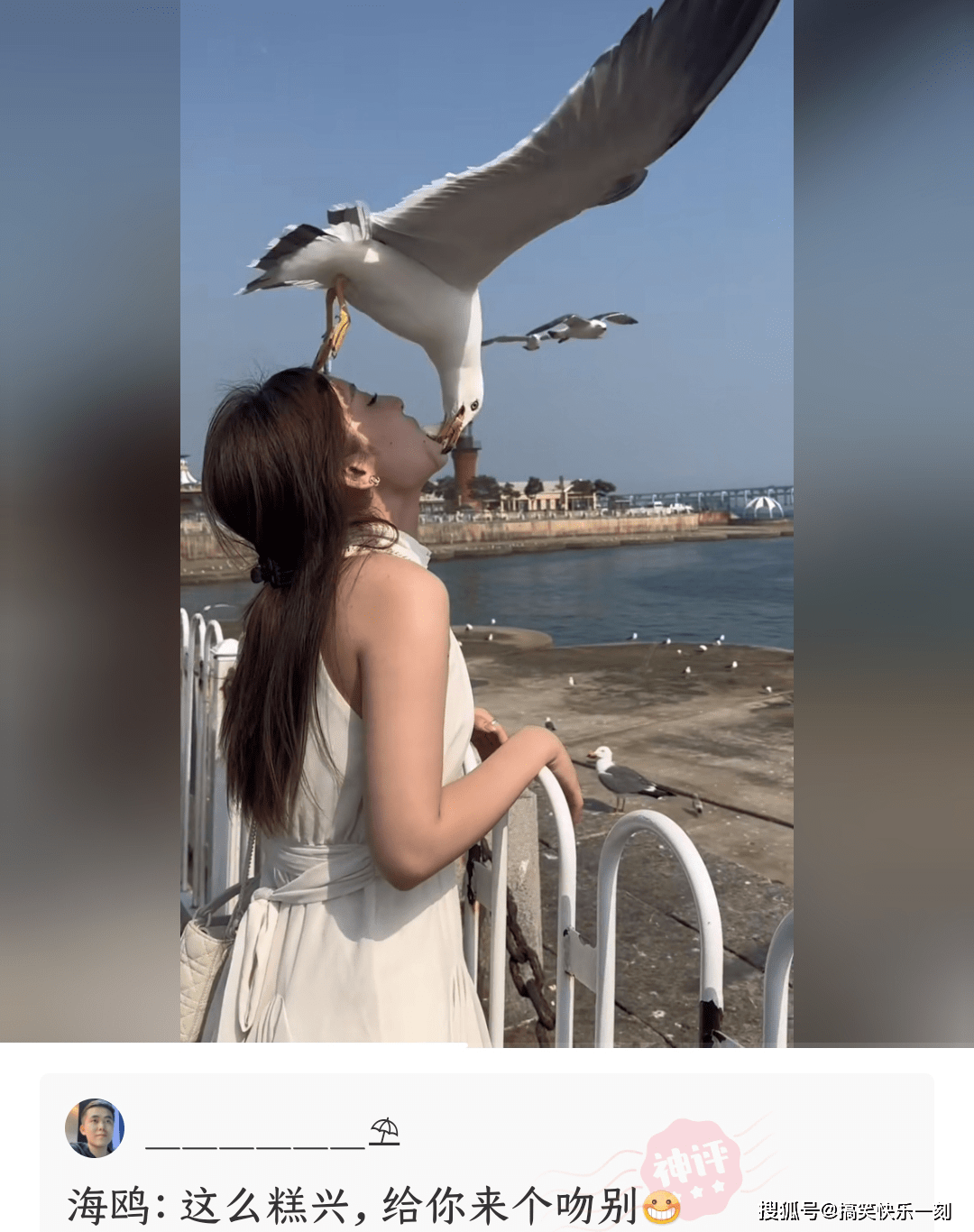 七个女人在一起叫七仙女,那七个男人在一起叫什么呢 -6parkbbs.com