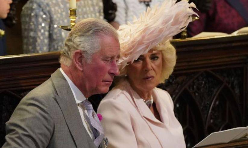 专家解释为什么女王会在退位前宣布卡米拉将成为王后:查尔斯逼的_在