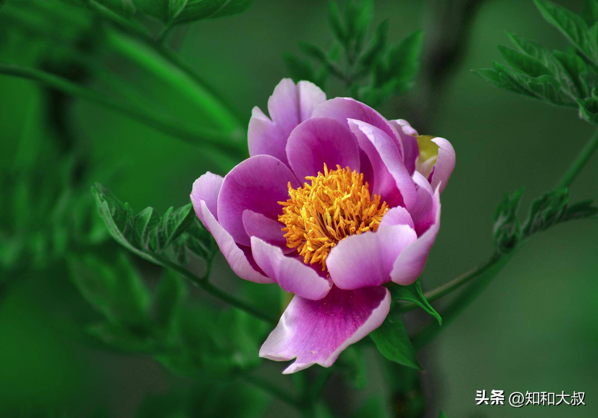 一个家庭最大的悲哀,不是没钱,而是儿女30多岁,还做这两件事_父母