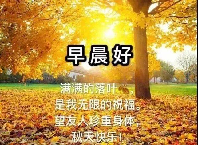 8张最美秋天风景早安早上好图片带祝福语 好看的秋日早上好问候祝福语