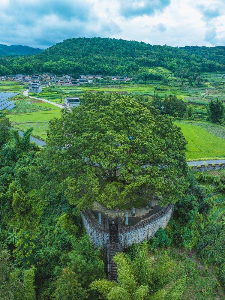 长寿区回龙寨图片