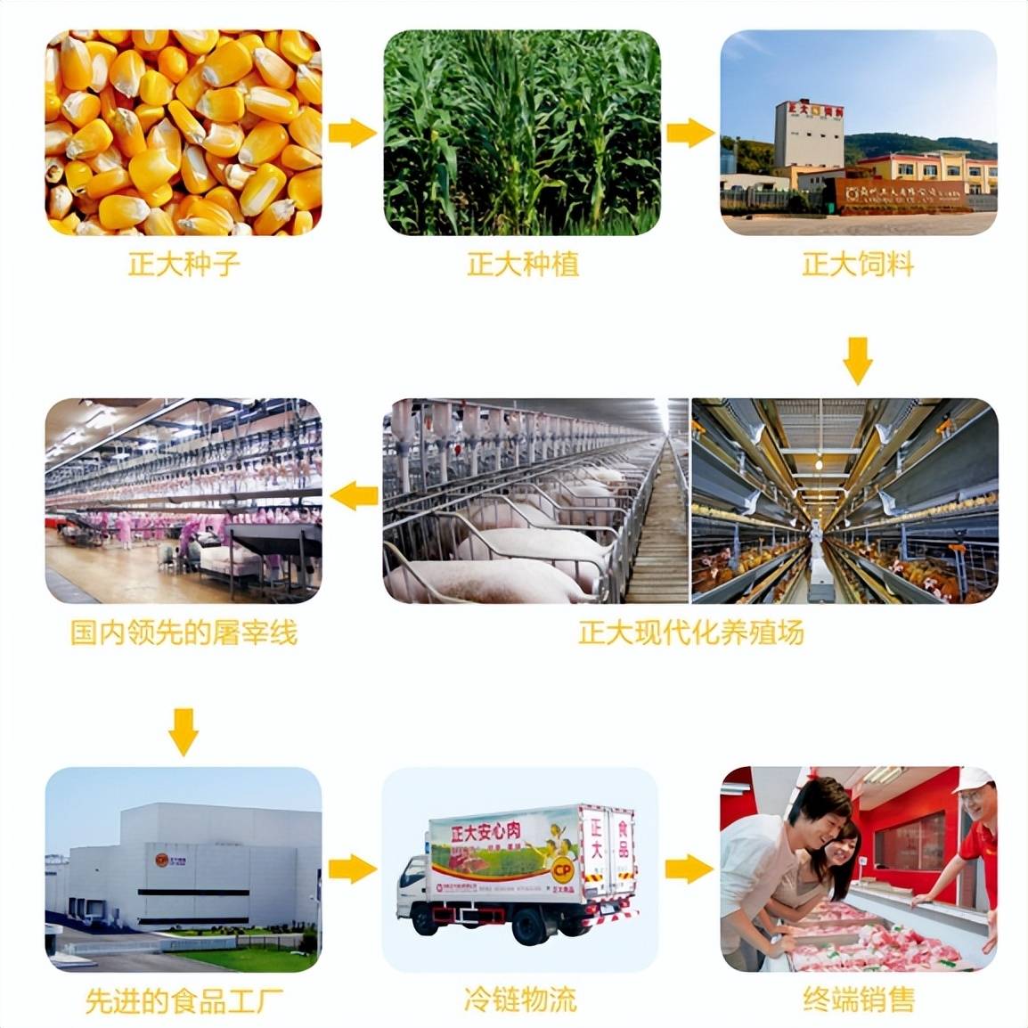 品质承诺，从源头开始| 祝贺正大食品入驻头号玩家商城_搜狐网