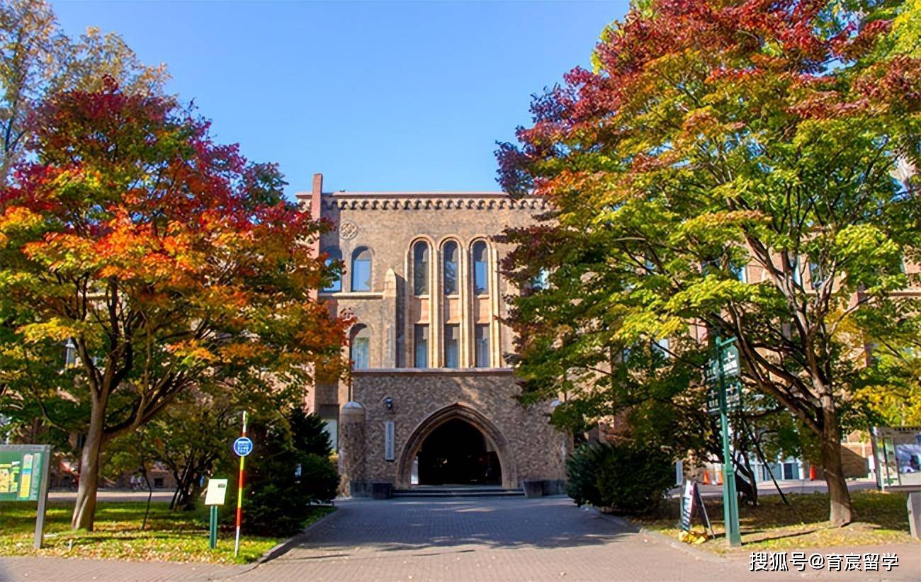 北海道大学图书馆图片