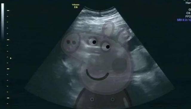 华晨宇,杨幂,王鸥,韩雪,张梓墨,李光洁等明星纷纷送上了祝福~从明星们