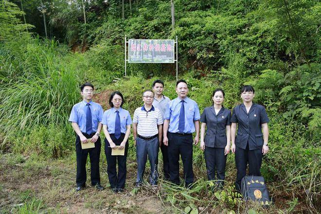 泰宁"检察蓝"守护绿水青山_生态_法律_司法