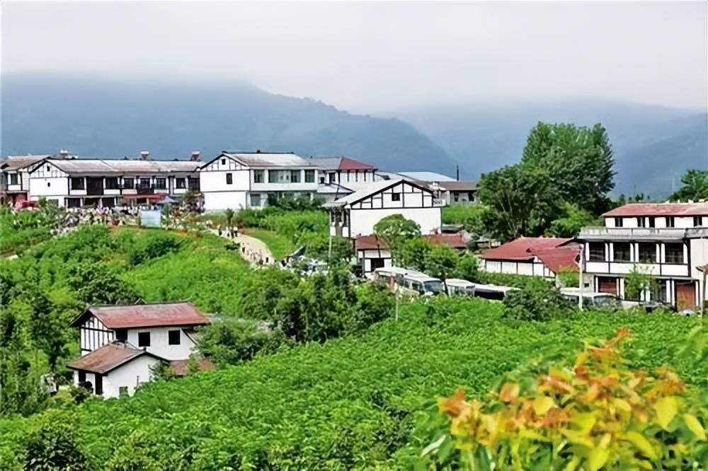 美丽乡村——陕西石泉县明星村_游客_桑园_变迁
