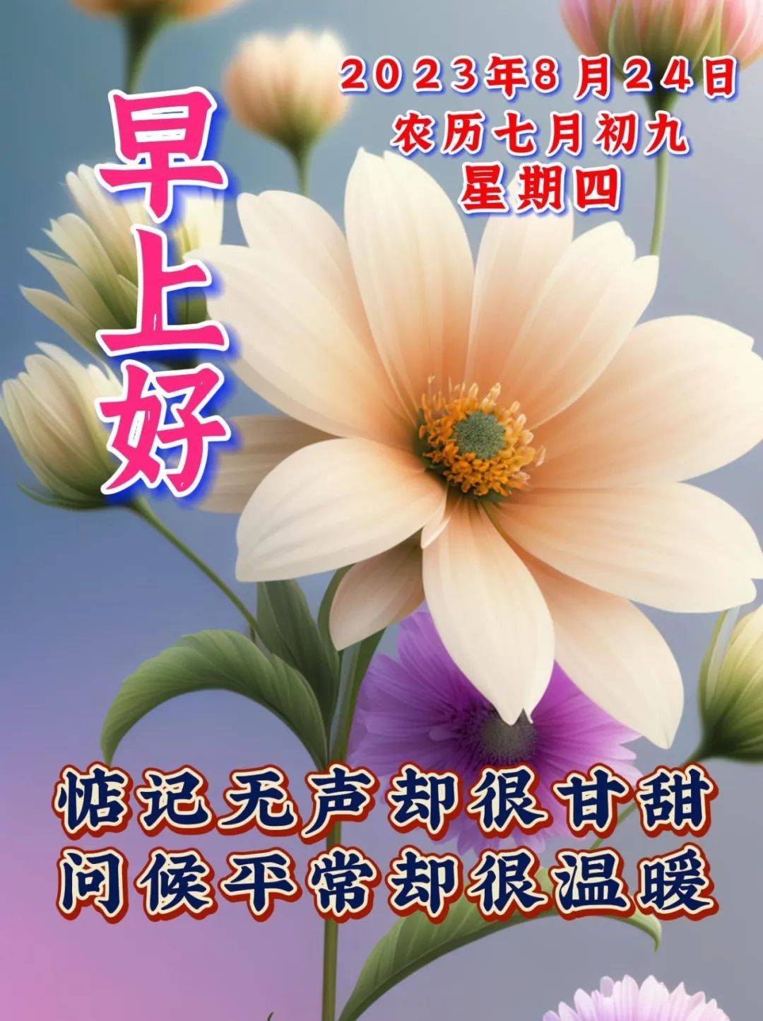 原创            8月24日周四早上好，唯美祝福语图片带字