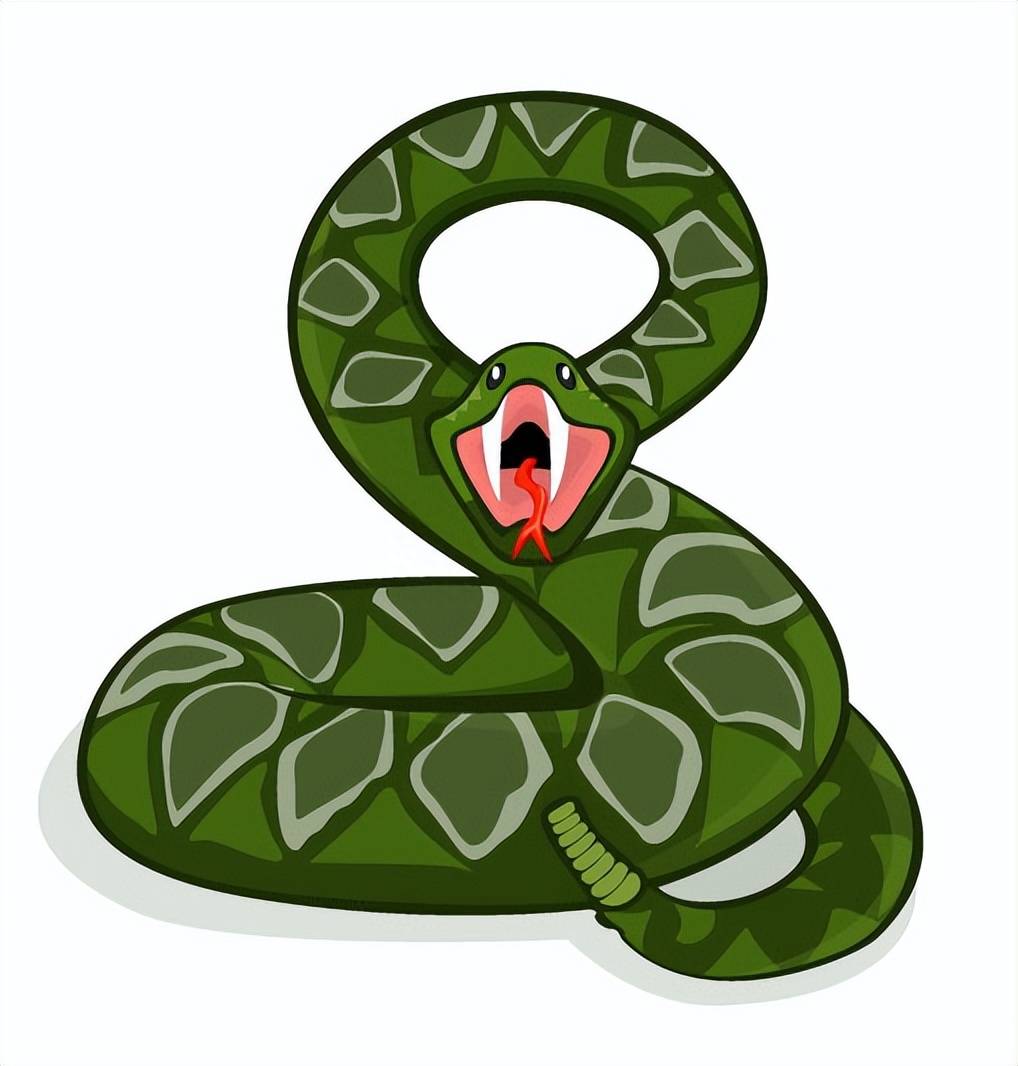 揭秘世界上三种最具攻击性的动物,黑曼巴蛇为何如此可怕?