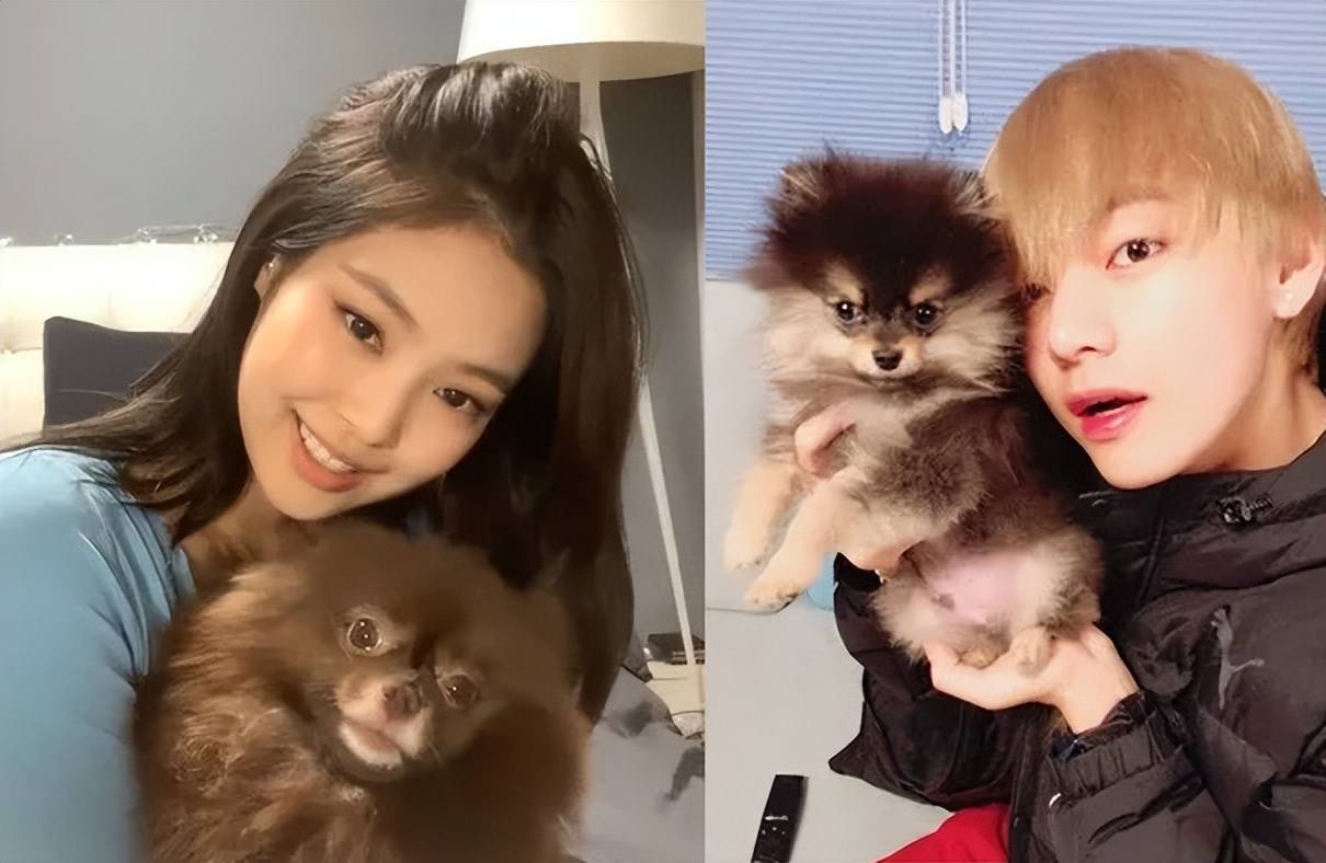 jennie恋情大揭秘!