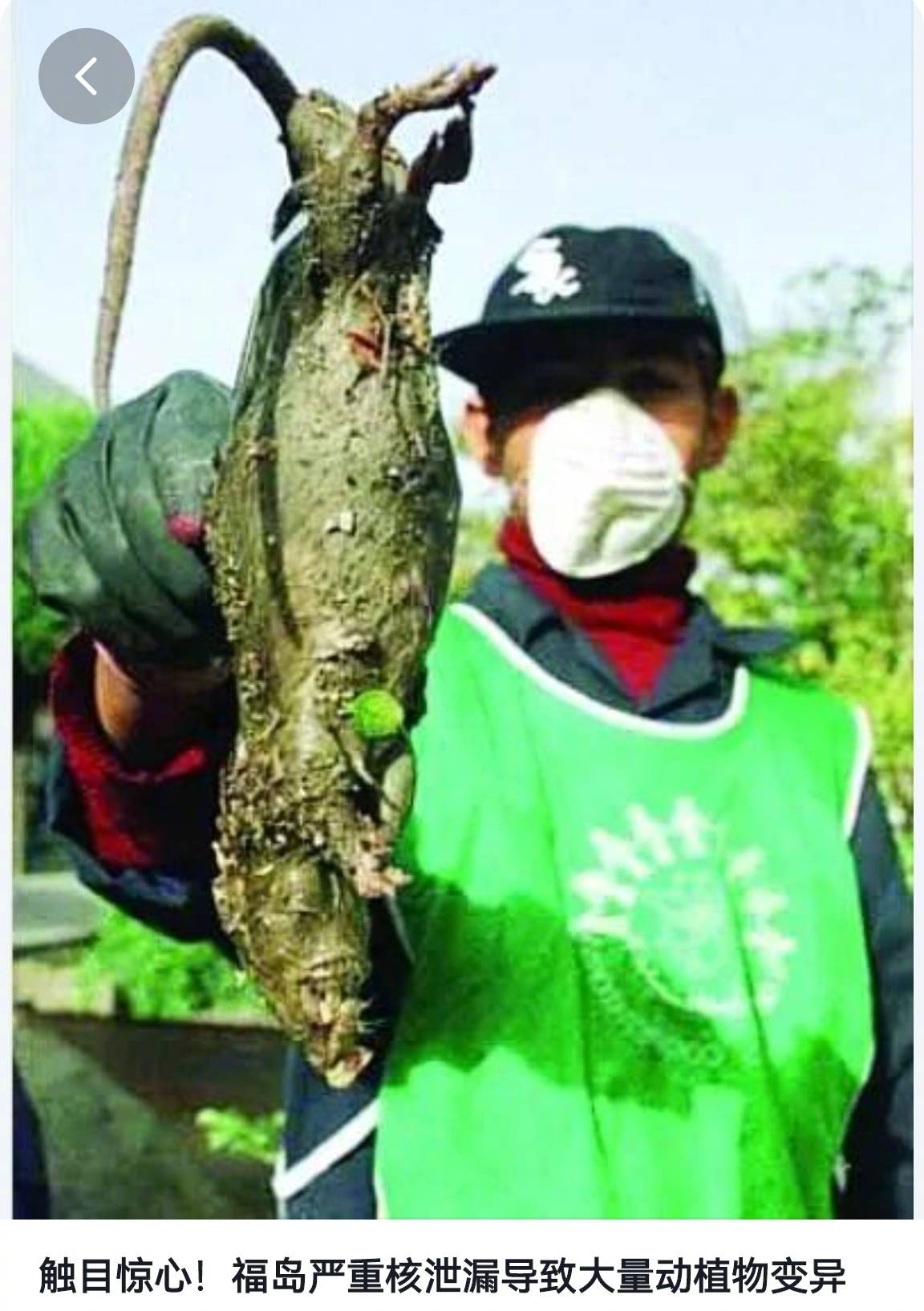 而早在6月5日,东京电力公司所发布报告显示,福岛核电站港湾内捕获的
