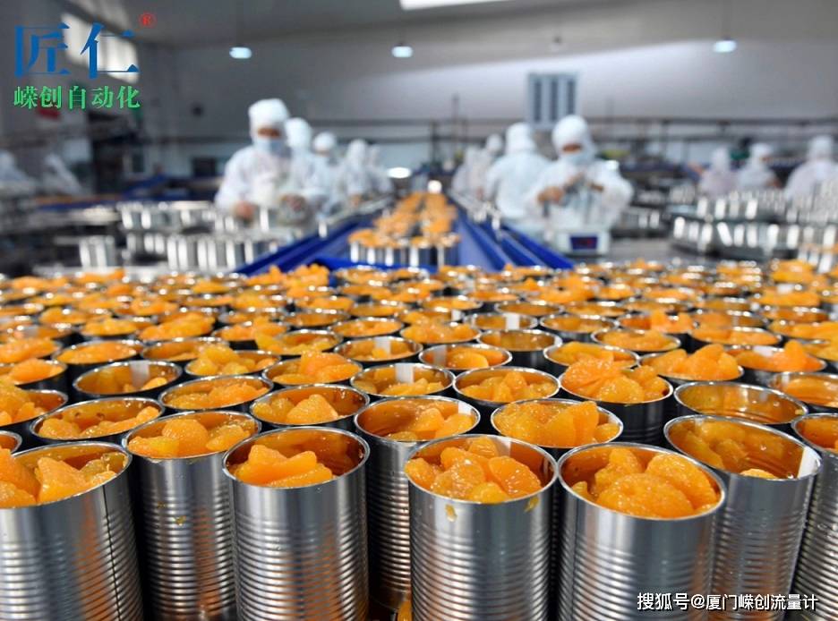 嵘创与漳州很多罐头食品厂合作蒸汽流量计 核算成本 降本增效_加工