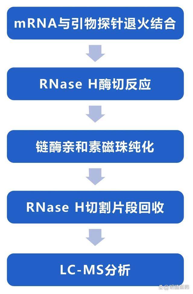mRNA加帽率检测分析服务