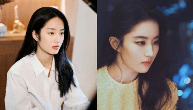 20岁出道,撬走刘亦菲"干爹","冯女郎"杨采钰一点也不简单_陈金飞_电影