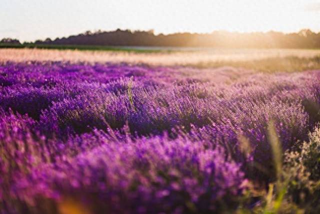 原创            唯美的爱情，伤感的思念，无缘夫妻，也会一生想念