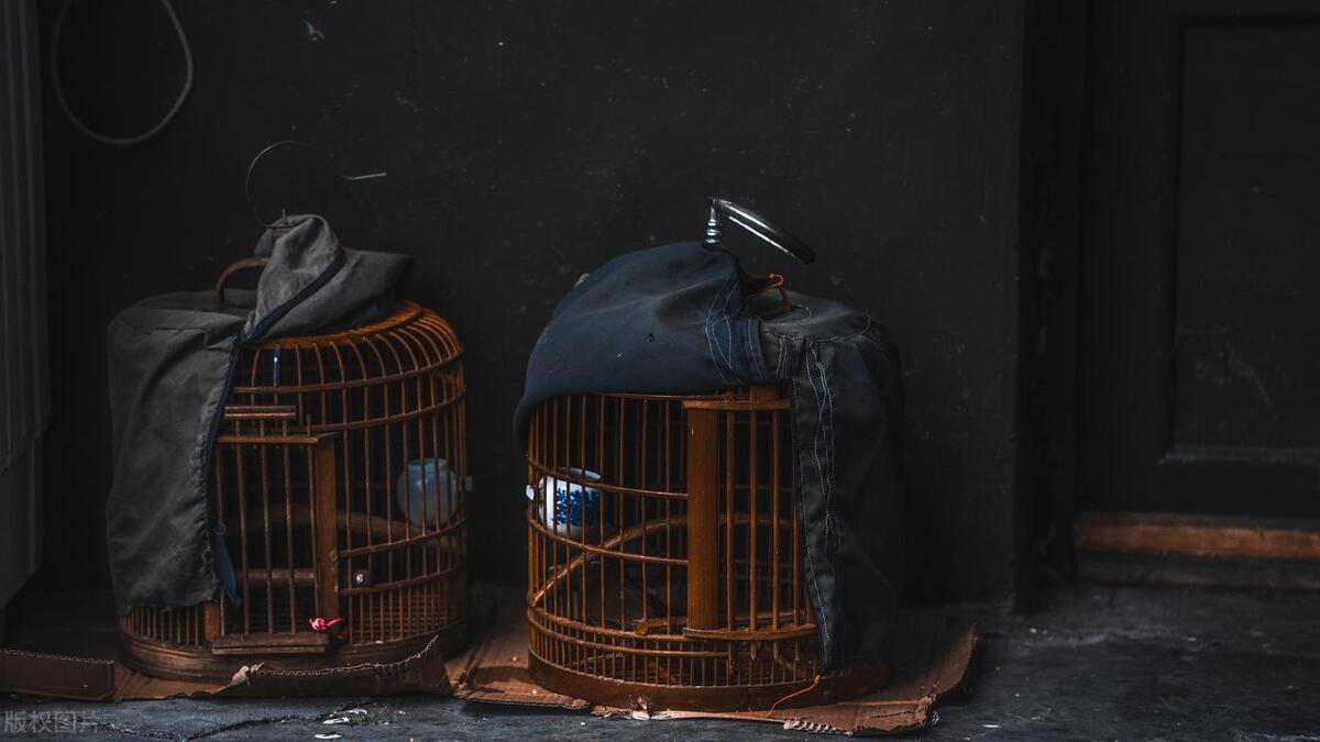 胶东非遗文化:青岛即墨大欧鸟笼制作工艺_网络_平台_生产