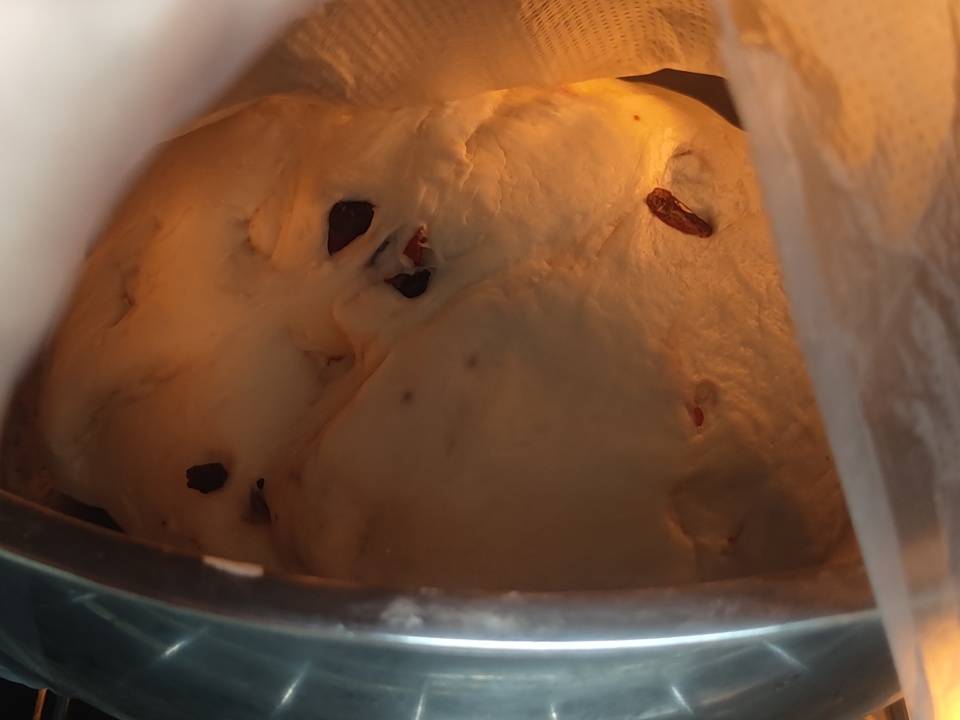 新手欧包说做就做，一次成功！长帝S1蒸汽风炉多功能烤箱实测分享！