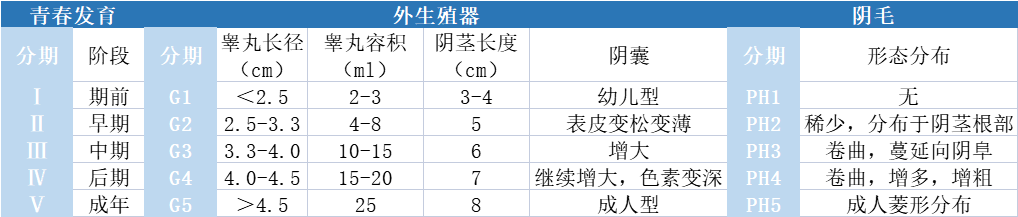 儿童性发育评估 | Tanner标准,快收藏!_乳房_水平_阴茎
