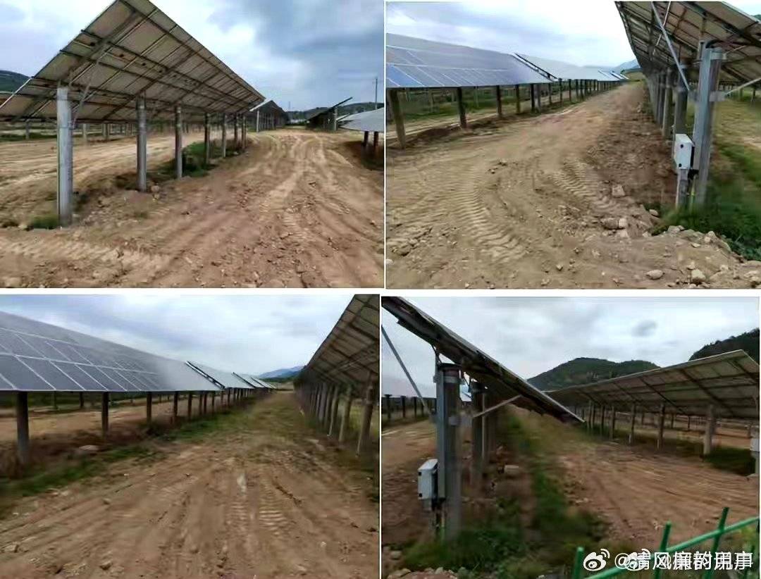 山西隰县黄土镇:千亩"农光互补"发电项目 为何耕地多年被撂荒?