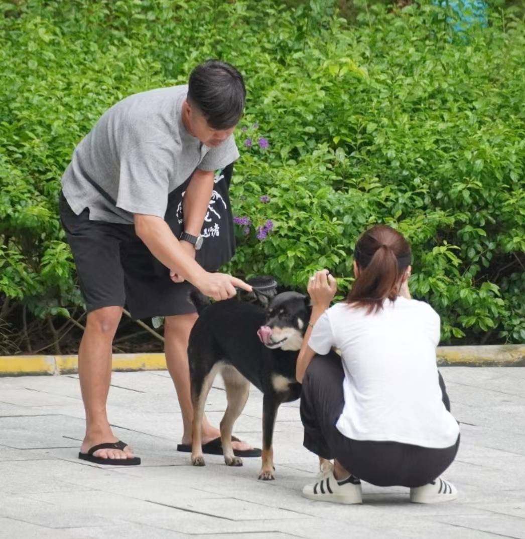 tvb前女星与准老公合体遛狗,手戴巨钻却不想让人看到