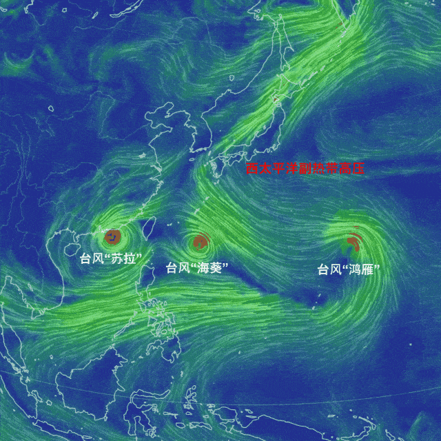 台风苏拉,真的来了!| 地球知识局_西太_影响_气流