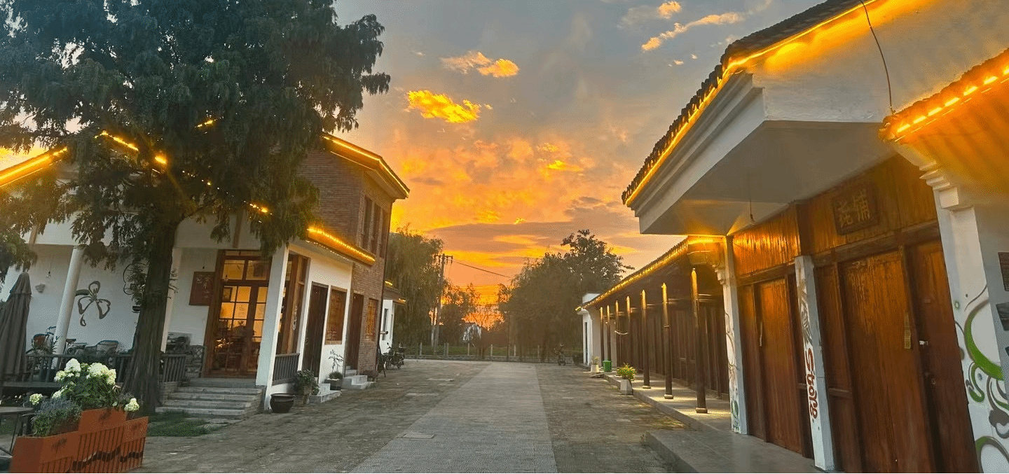 打卡"中国美丽休闲乡村"湖州市向阳村,在这里体验你想要的生活!