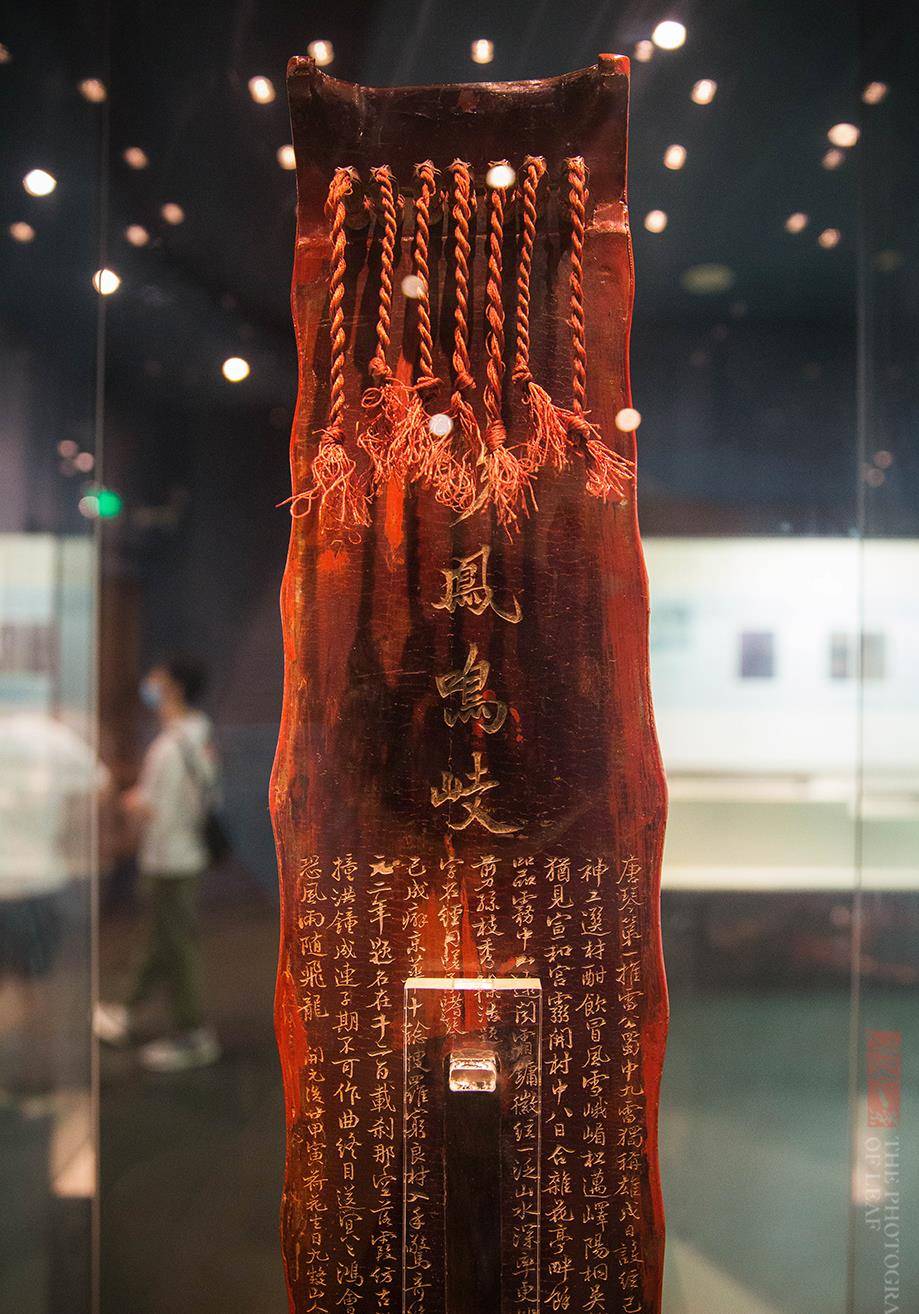 浙博有一把"天魔琴",如今是镇馆之宝,一弹奏仿佛天籁之音_唐彩_凤鸣