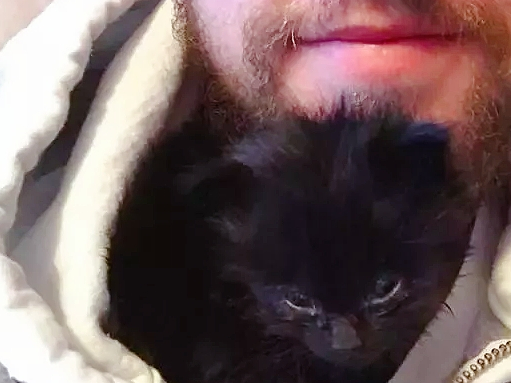 家里躲进两个小黑影,屋主刚拿起扫把,小黑猫兄弟主动认怂 家里躲进两个小黑影,屋主刚拿起扫把,小黑猫兄弟主动认怂