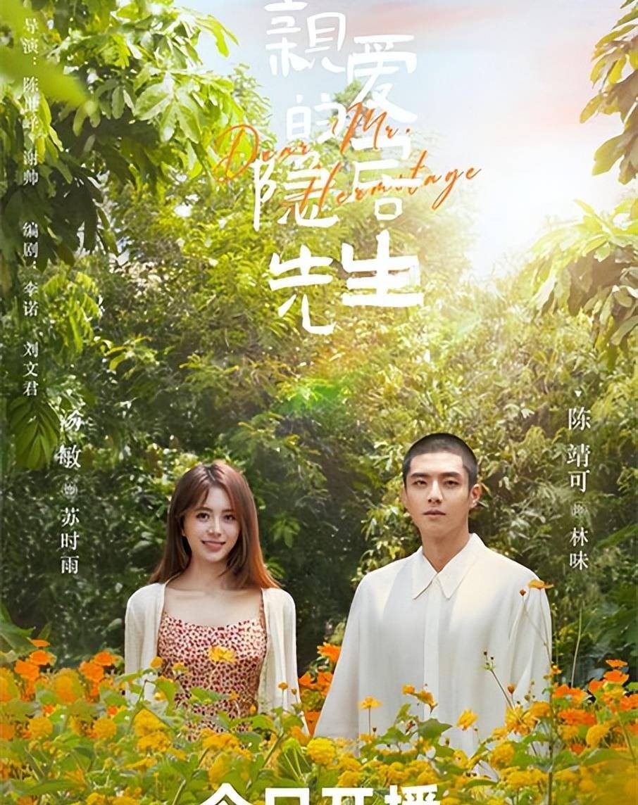 《亲爱的隐居先生》首播,汤敏陈靖可主演,甜宠又爆笑,好看的剧_电视剧