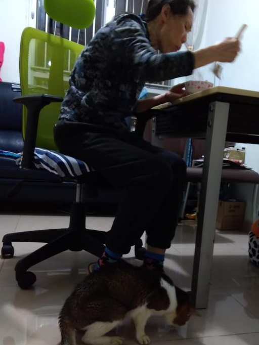 猫咪活了23年，妈妈起初不愿给它花钱，最后却在猫咪身边泣不成声