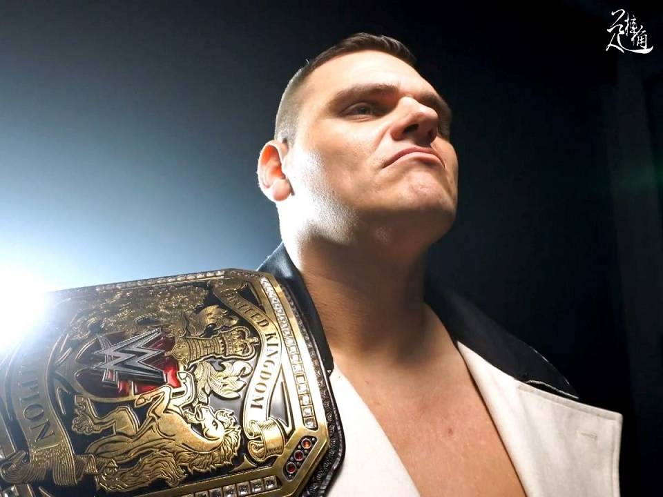 "擂台将军"成wwe史上任期最久洲际冠军,nwa对cm朋克敞开大门?