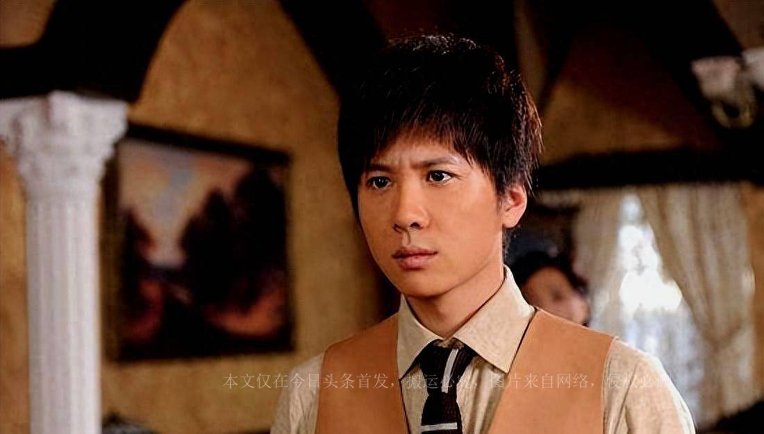 表演作品赢得了观众的喜爱,其中包括《甄嬛传》和《琅琊榜》等影视剧