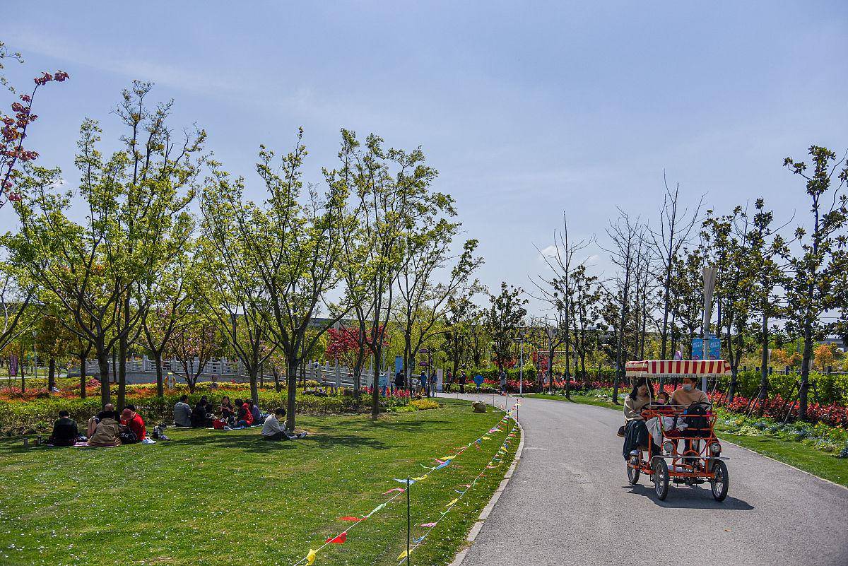 上海合庆郊野公园图片