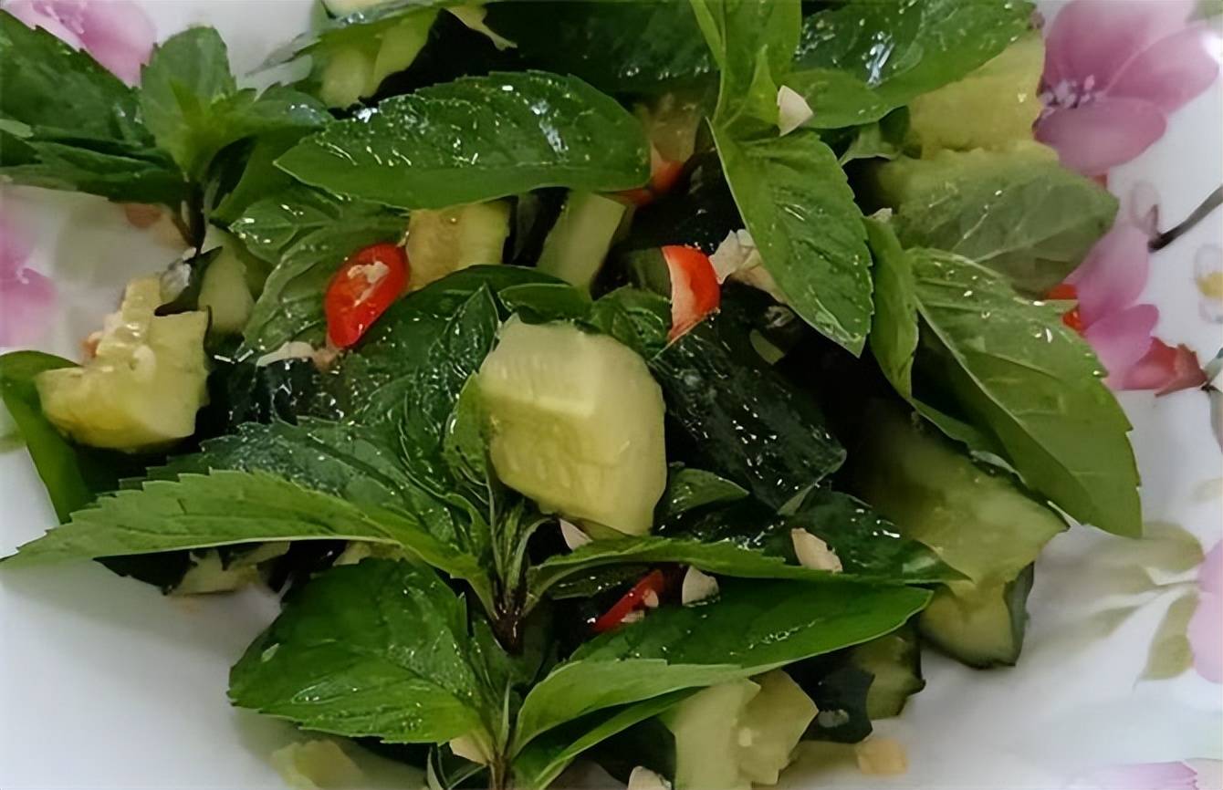 新鲜的薄荷怎么吃?