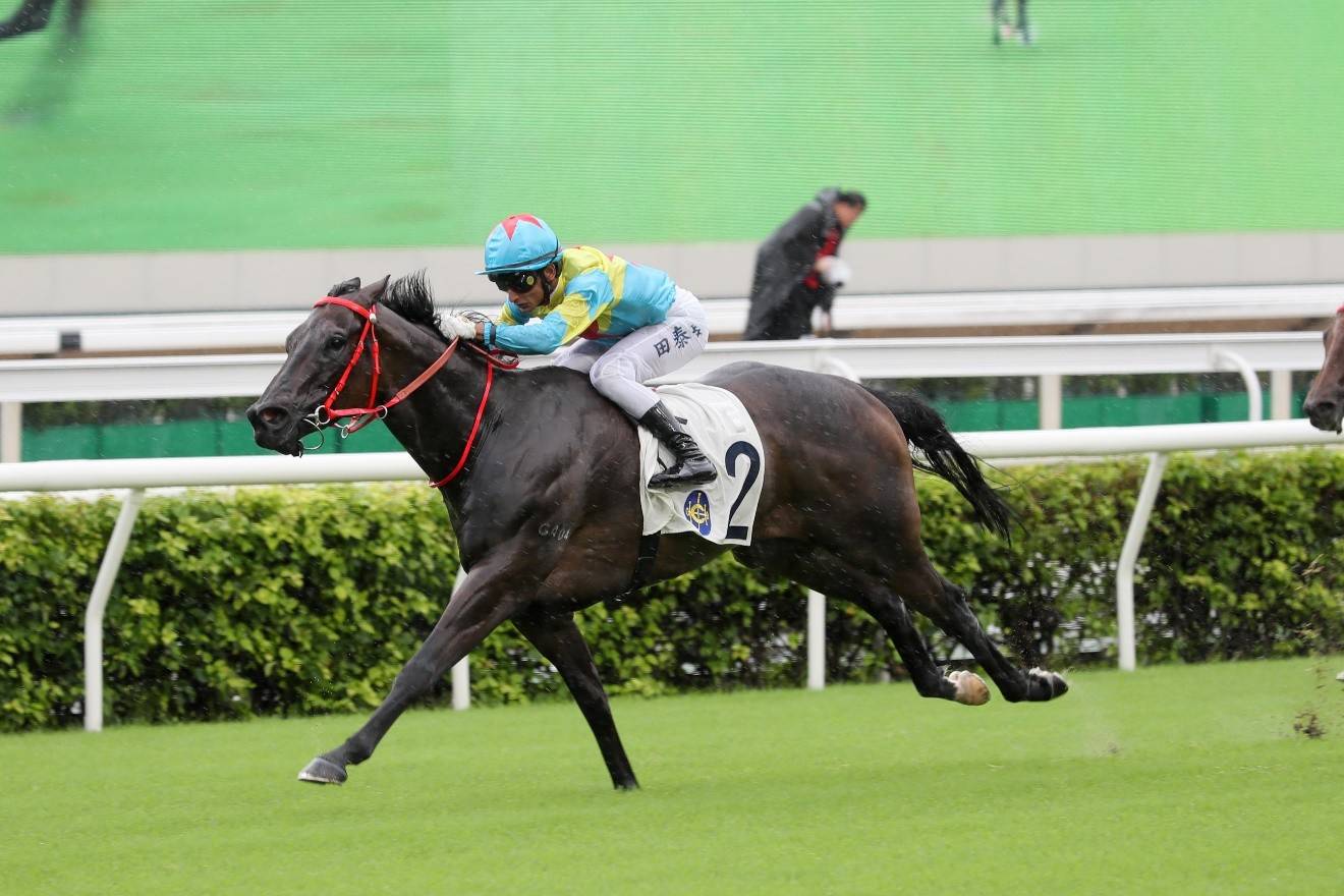 香港新赛马季开锣 风雨无阻马迷热情_赛马会_赛事_沙田马场