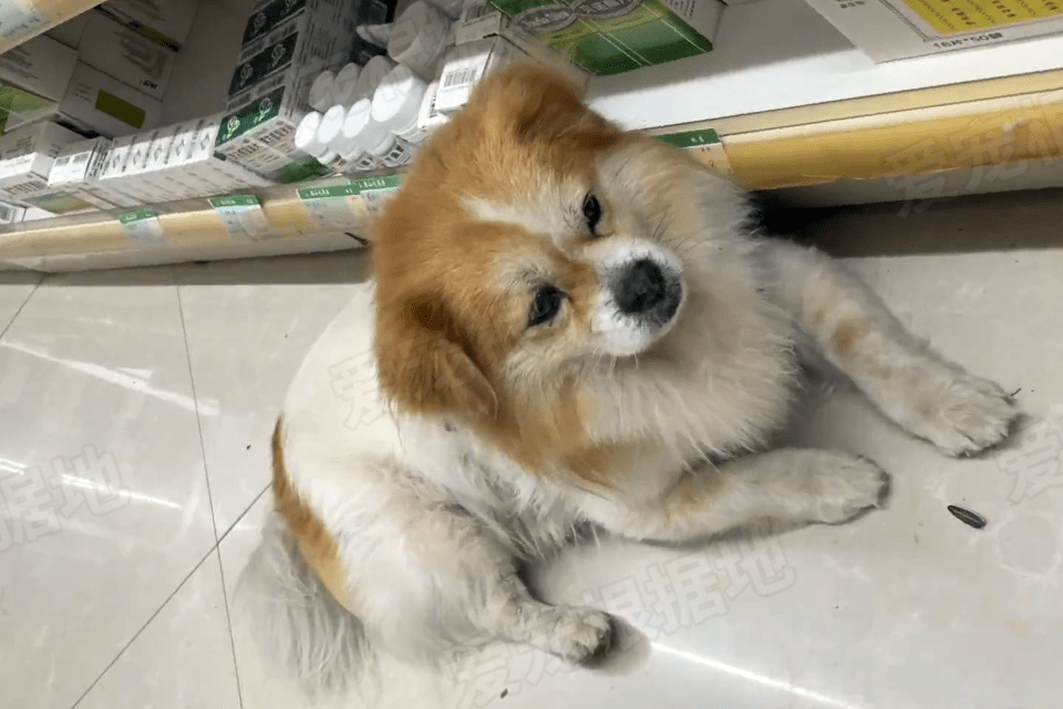 赤影战士