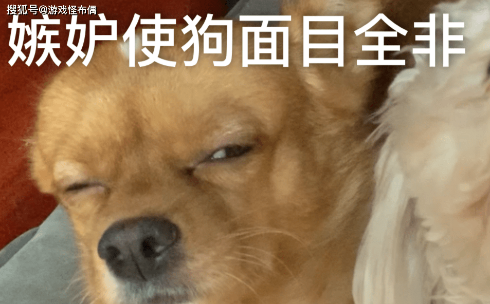 海岛奇兵单机版
