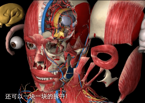 干货| 5000 人体结构无限次拆分,国内最强3d解剖软件!_资源_文末_内容