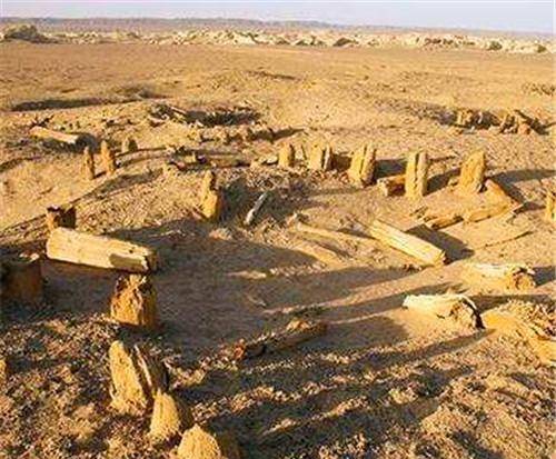 63年前意外出现一次后又消失,从此去向成谜_且末_西域_古国