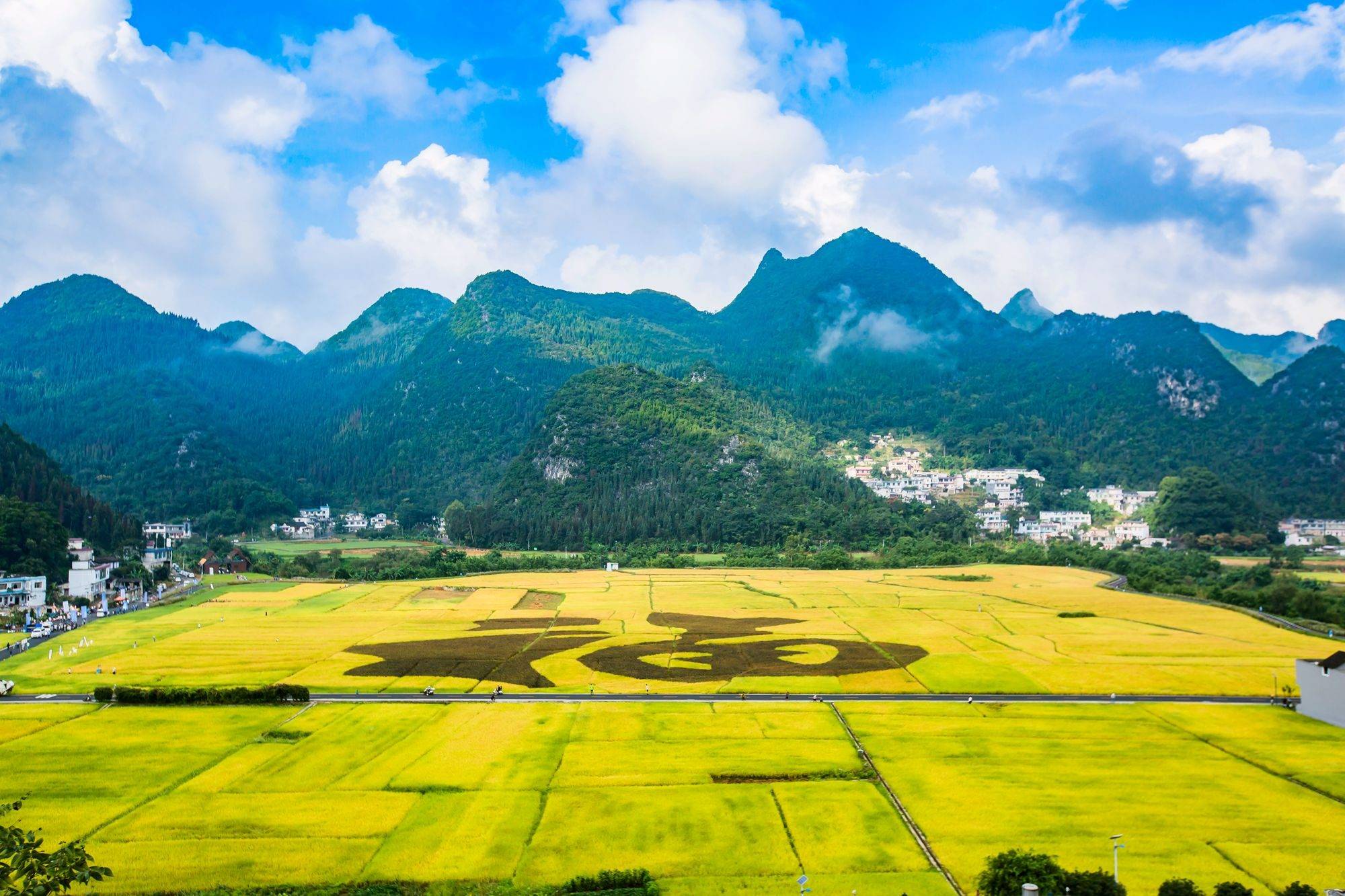 贵州兴义万峰林,稻香满溢,田园如画,这里的秋天宛如