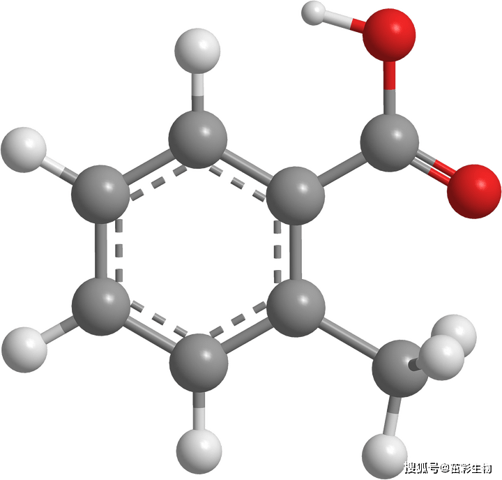 亮氨酸氨基转肽酶(lap)检测_合成_蛋白_组织