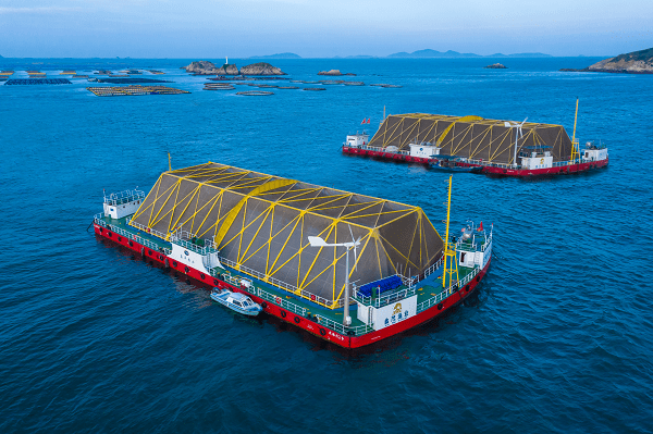 公司和福州万家食鲜福宴楼 等单位,就鑫茂渔业餐饮专供大黄鱼和定海湾