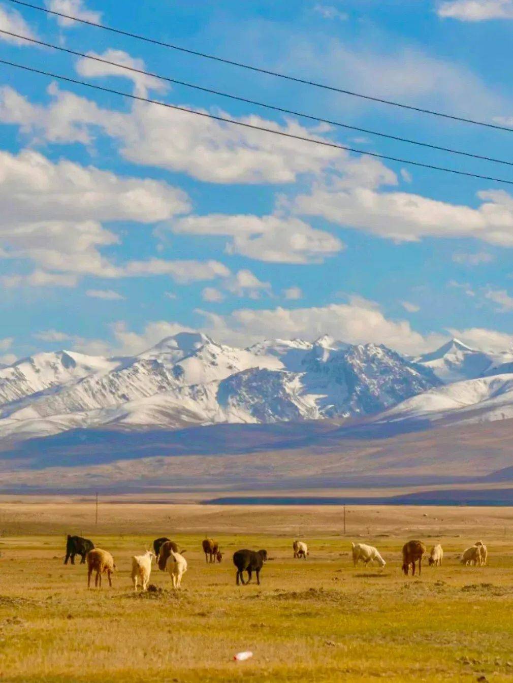 这里是中国最牛的县城 塔县_高原_海拔_喀什