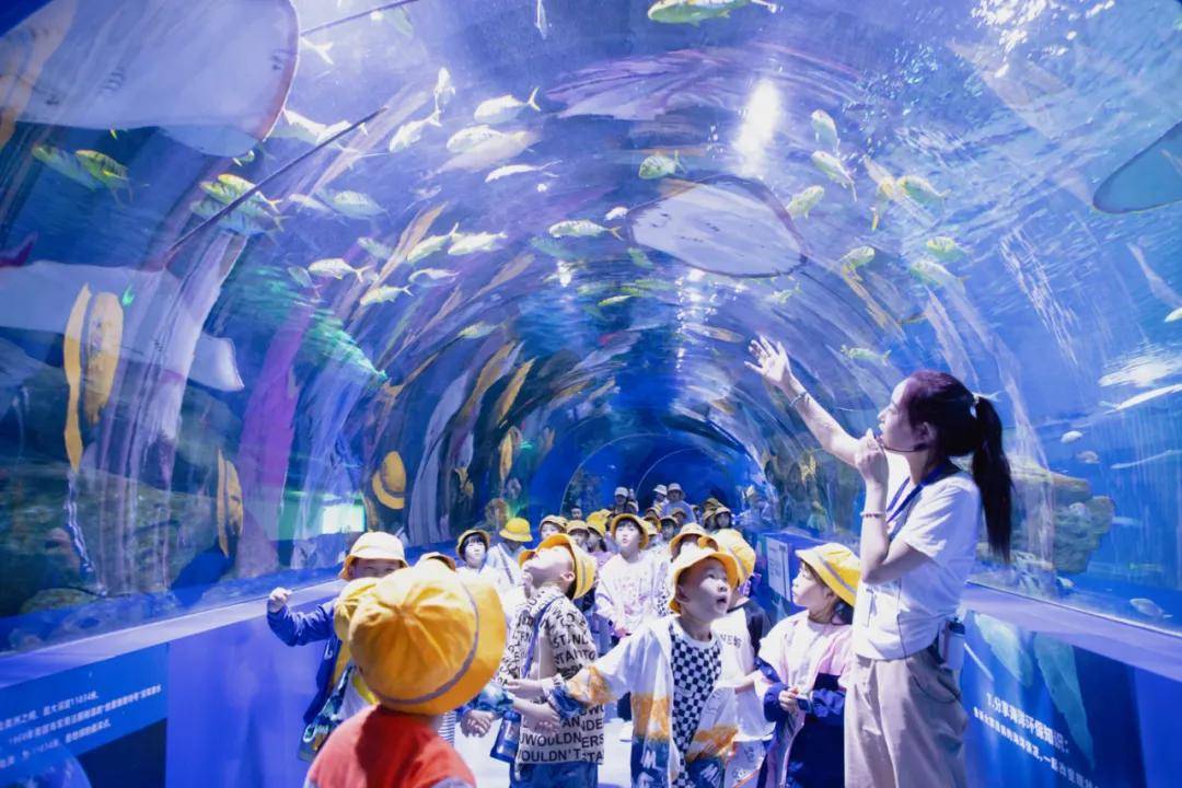 西宁新华联童梦乐园获批青海省中小学生研学实践教育基地(营地)_科普