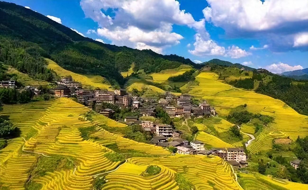 成从妹散文欣赏——《秋分》