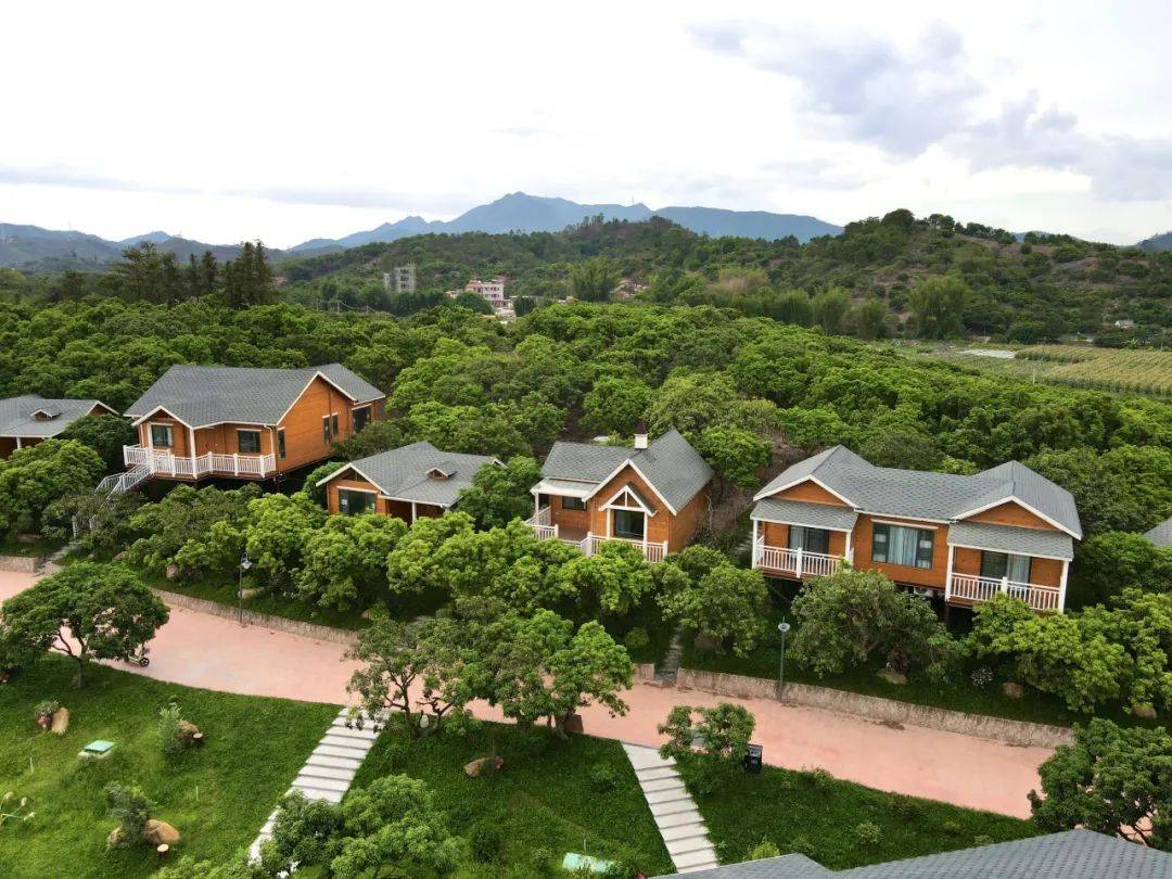 住湖畔别墅,看大湾区艺术花境展,科幻灯光秀…_丹凤_餐厅_梦幻