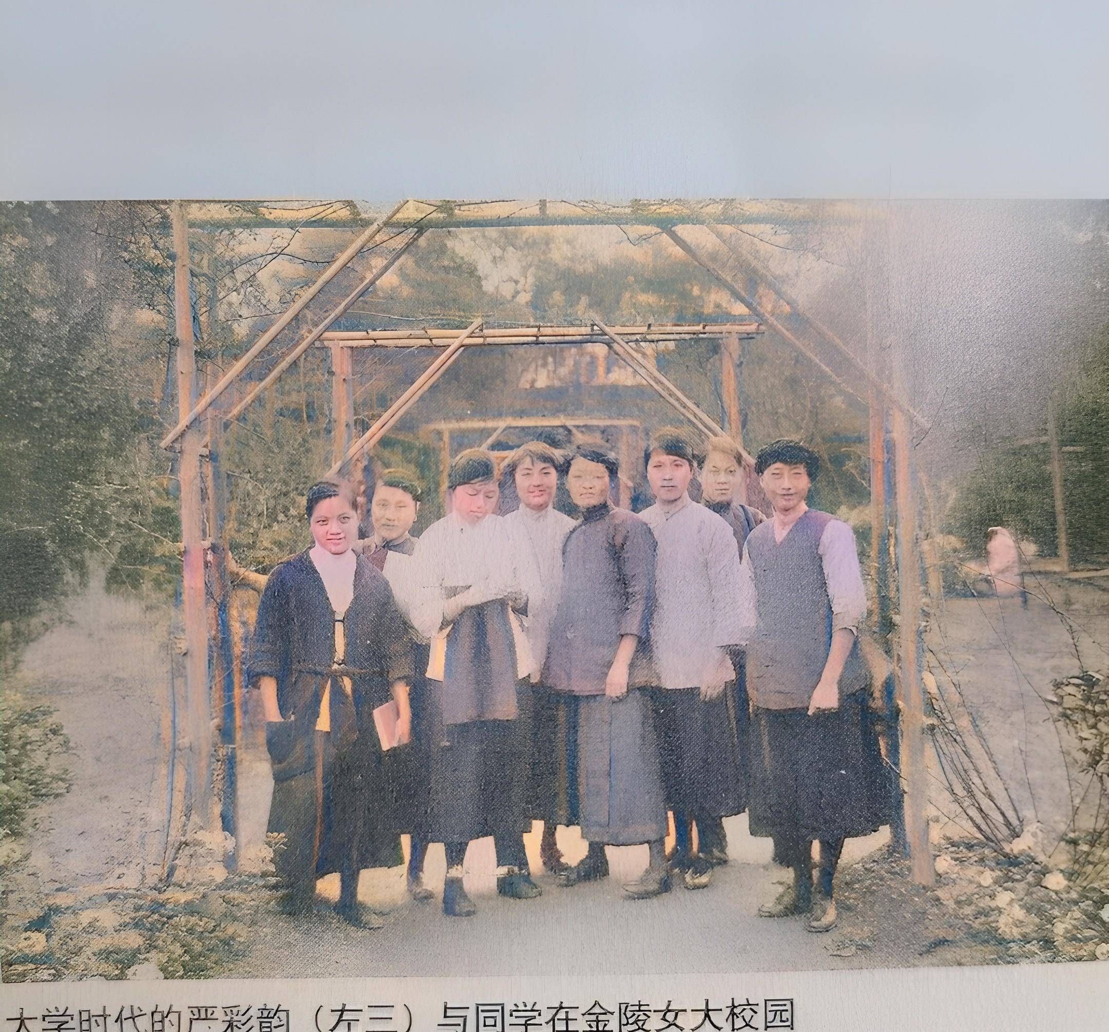 严幼韵的大姐严彩韵:长相丑胖,事业有成,子女成才,天生旺夫_工作_毕业