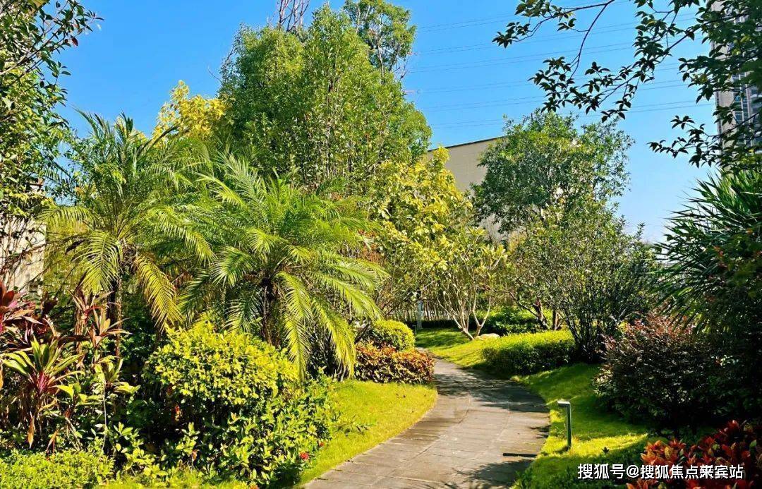 实景图澜山影壁,澜亭问茶,海棠水院,镜湖水月澜表方圆,静听石语,宅