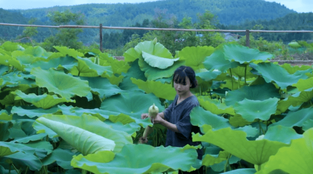 从泥巴路一步一个脚印走到顶峰,我们在期待李子柒归来!